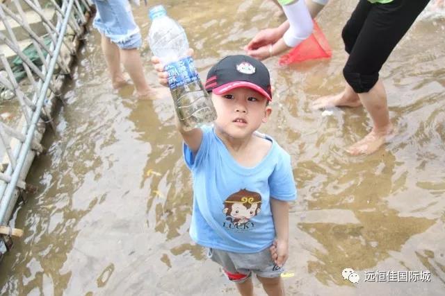 BOB�������޹�˾��(�й�)