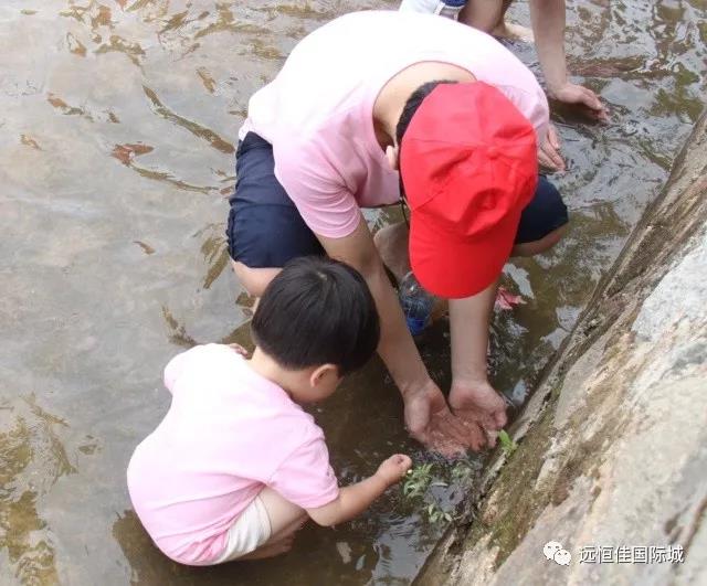 BOB�������޹�˾��(�й�)