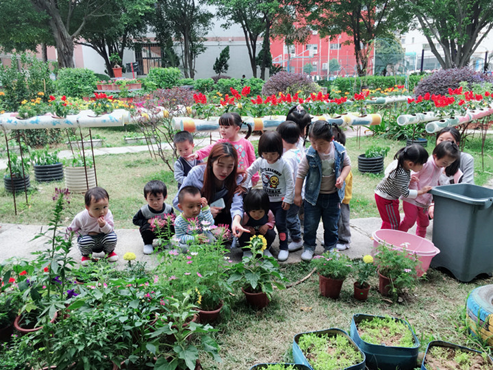 BOB�������޹�˾��(�й�)