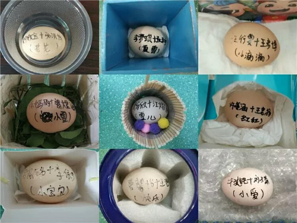 BOB�������޹�˾��(�й�)