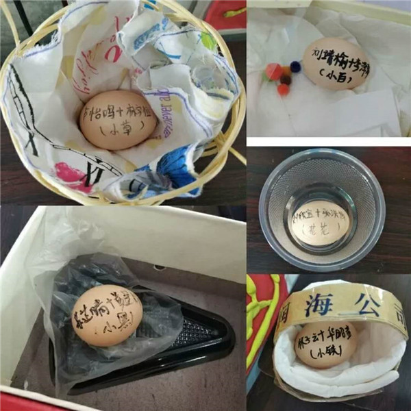 BOB�������޹�˾��(�й�)