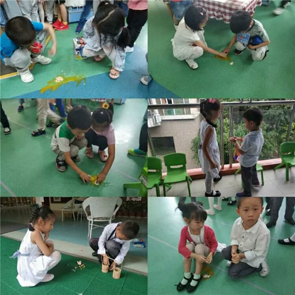 BOB�������޹�˾��(�й�)