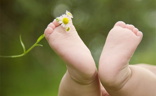 BOB�������޹�˾��(�й�)