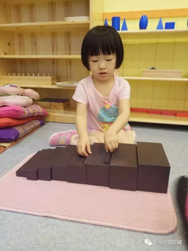 BOB�������޹�˾��(�й�)