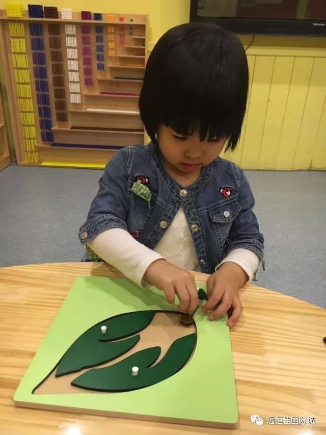 BOB�������޹�˾��(�й�)