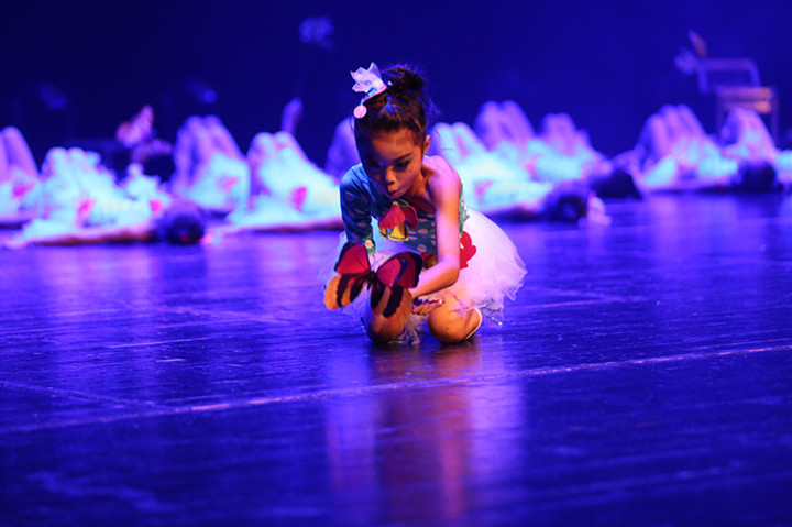 BOB�������޹�˾��(�й�)