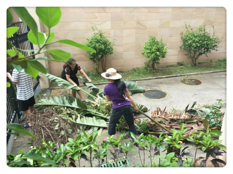 BOB�������޹�˾��(�й�)