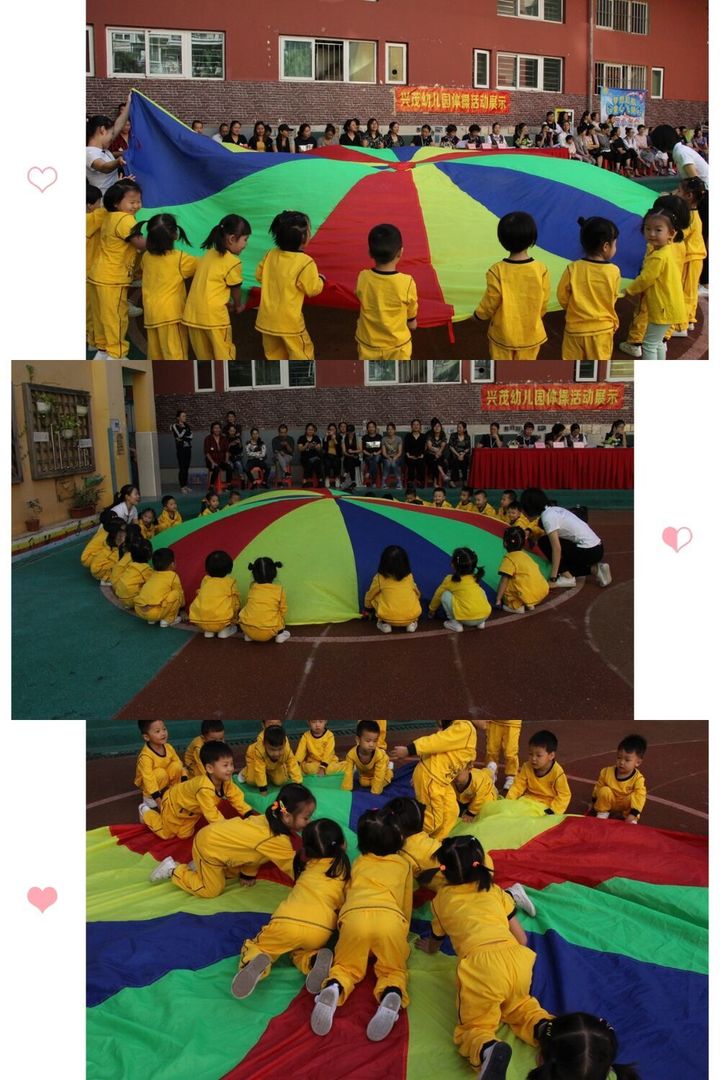 �����������������������ï�׶�԰�＾���չʾ