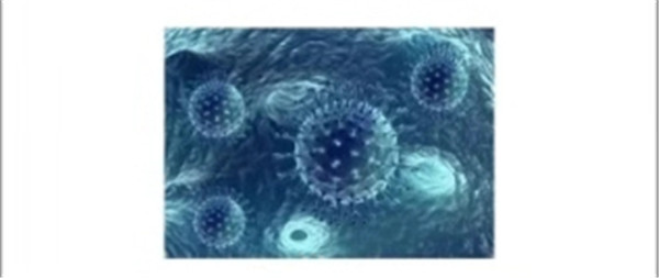 BOB�������޹�˾��(�й�)