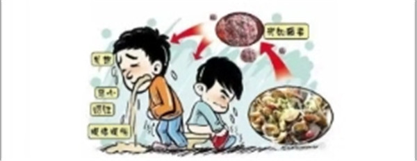 BOB�������޹�˾��(�й�)