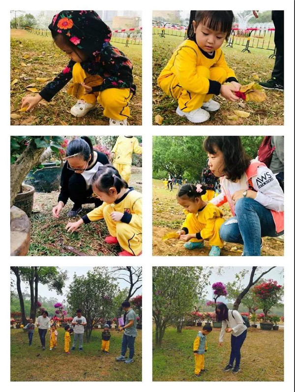 BOB�������޹�˾��(�й�)