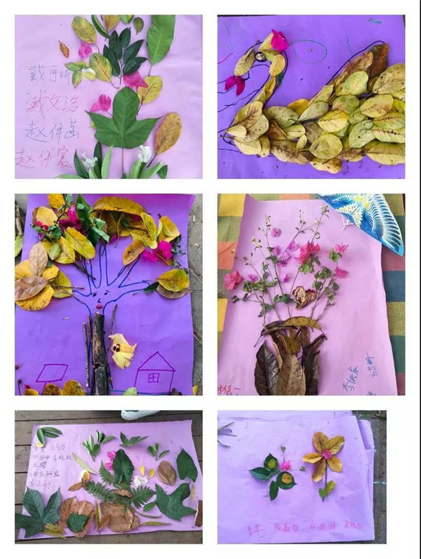 BOB�������޹�˾��(�й�)