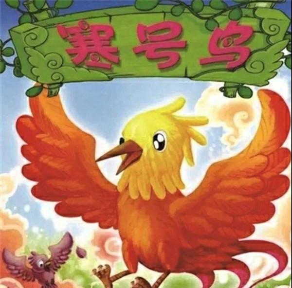 BOB�������޹�˾��(�й�)