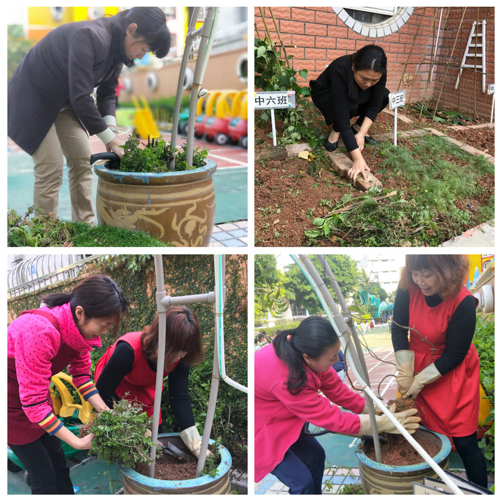 BOB�������޹�˾��(�й�)