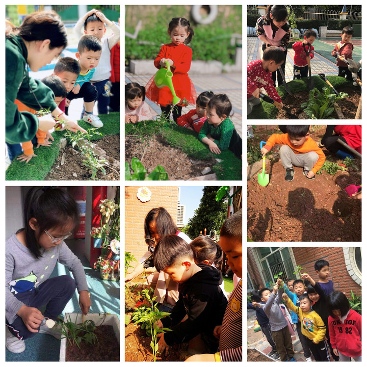 BOB�������޹�˾��(�й�)