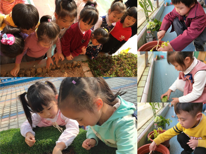 BOB�������޹�˾��(�й�)