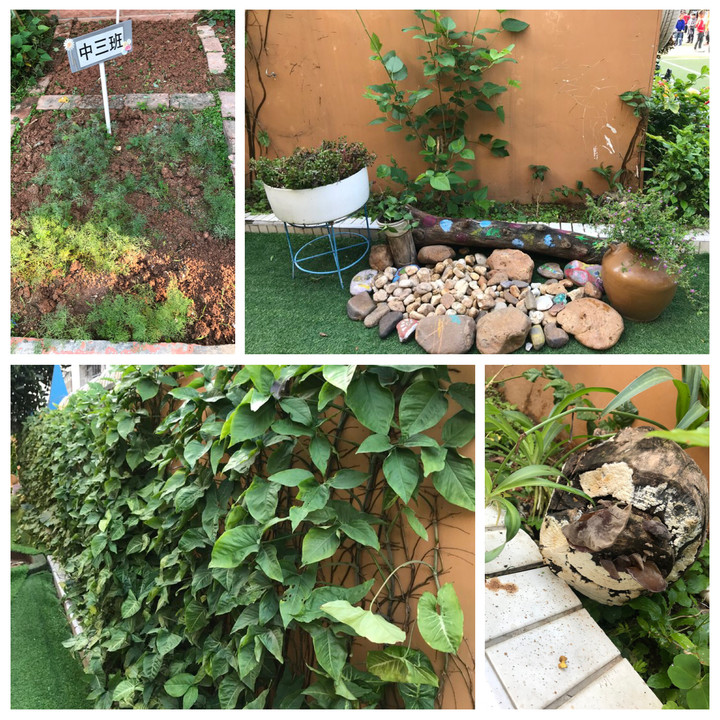 BOB�������޹�˾��(�й�)