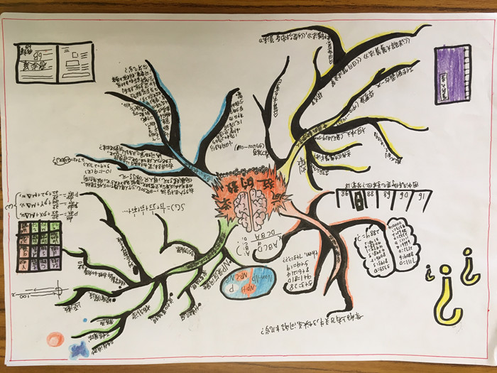 BOB�������޹�˾��(�й�)