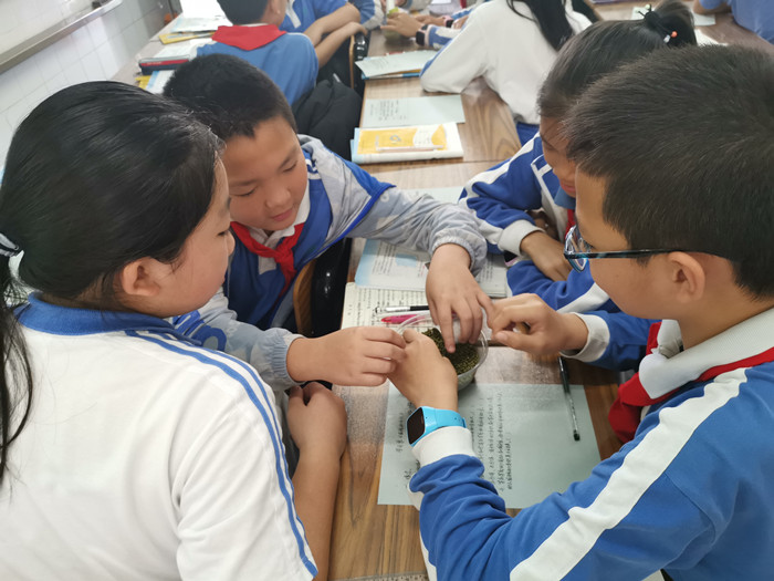 BOB�������޹�˾��(�й�)