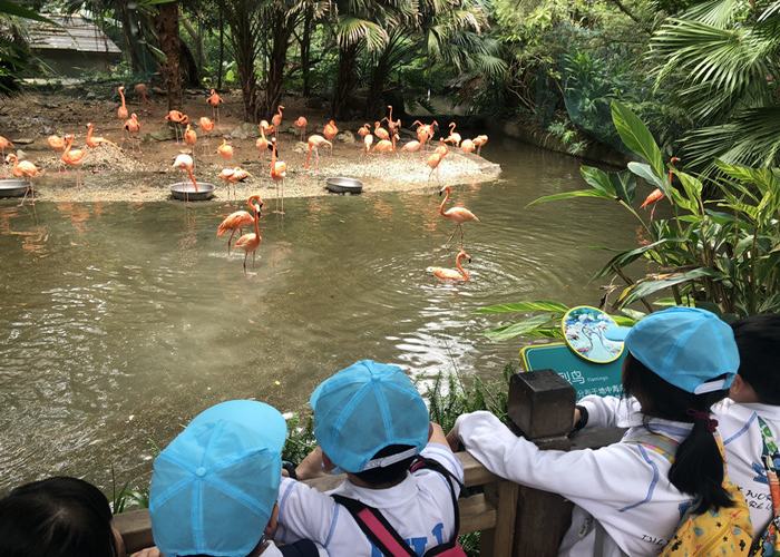 BOB�������޹�˾��(�й�)