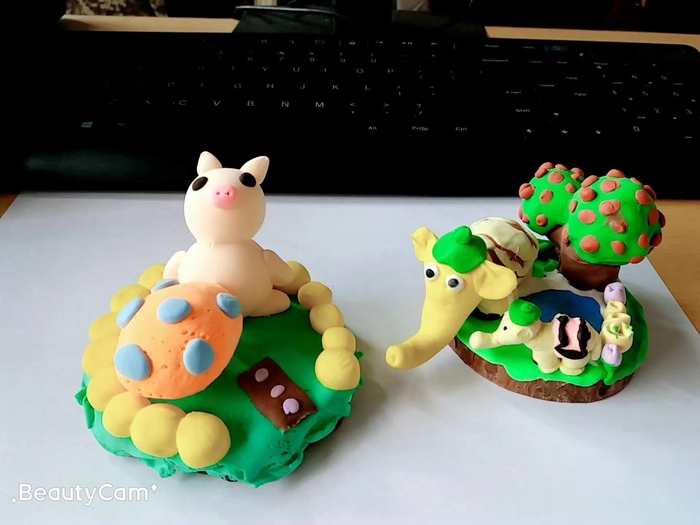 BOB�������޹�˾��(�й�)