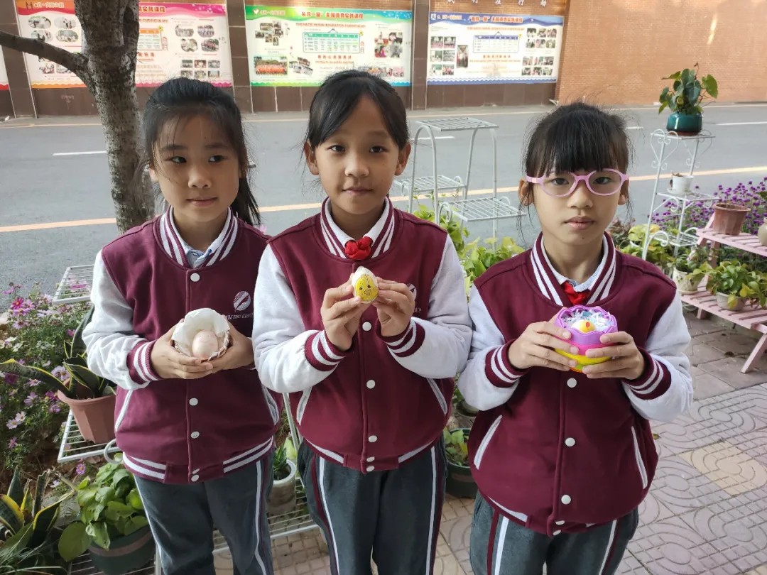 BOB�������޹�˾��(�й�)