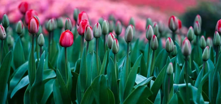 ������ϯ|��3��8 �ؼ�����������һ��