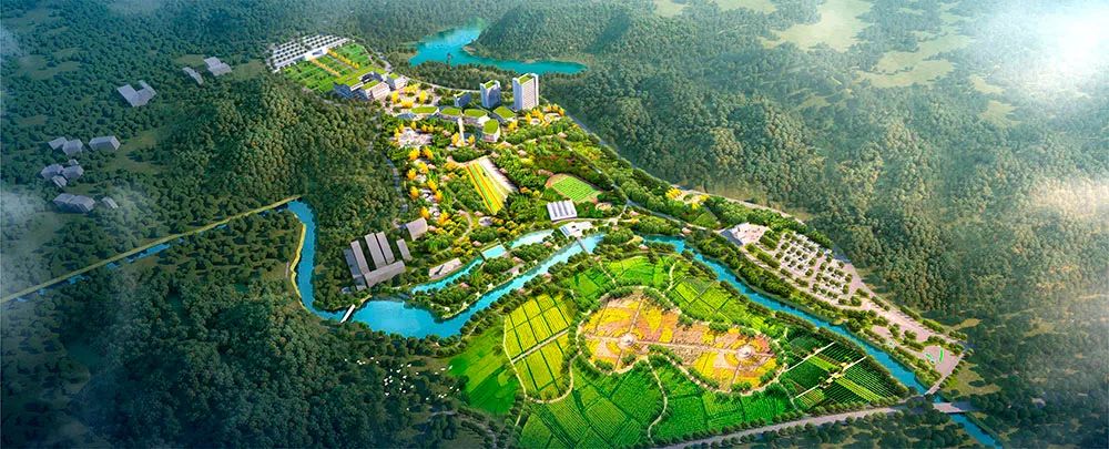 BOB�������޹�˾��(�й�)