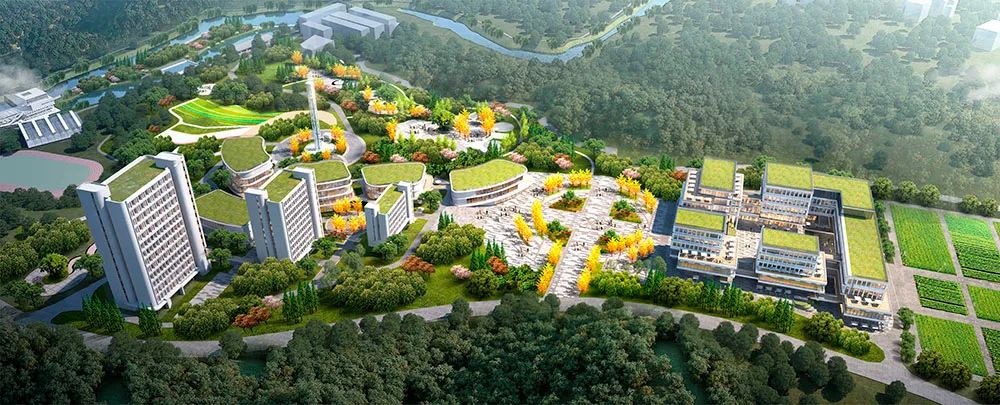 BOB�������޹�˾��(�й�)