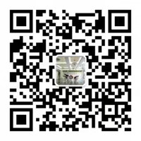 BOB�������޹�˾��(�й�)