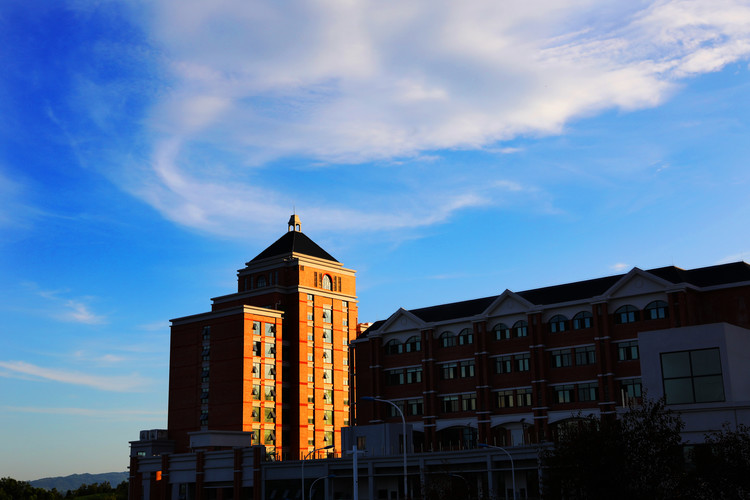 BOB�������޹�˾��(�й�)