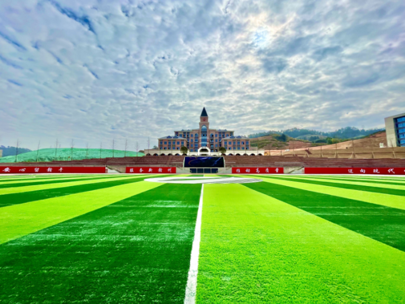 ���ݡ���ǿ�����š���ʮվ�߽�����BOB����ְҵѧԺ��� 