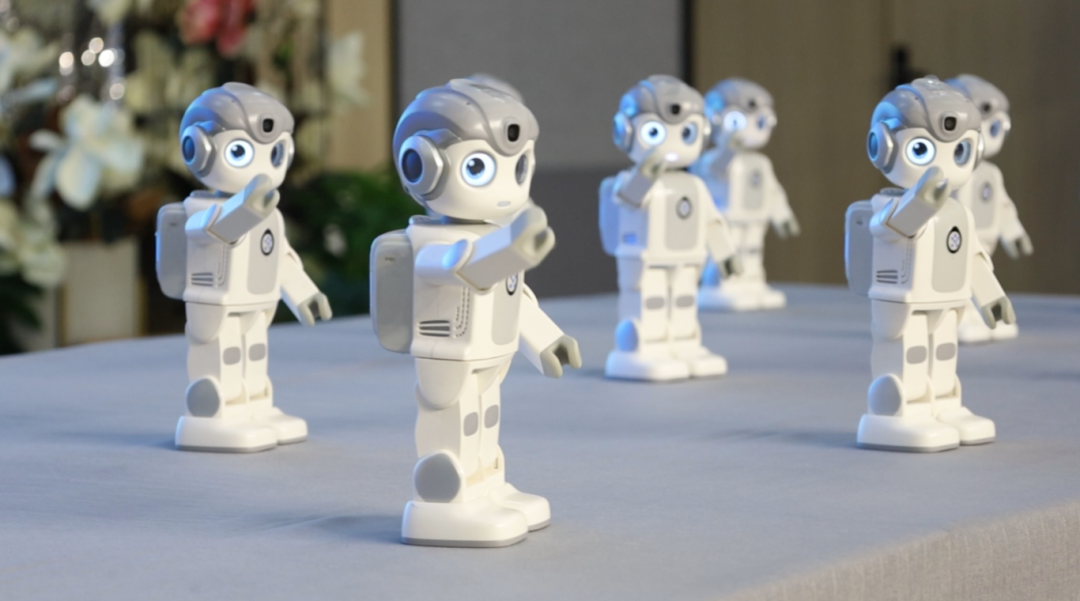 BOB�������޹�˾��(�й�)